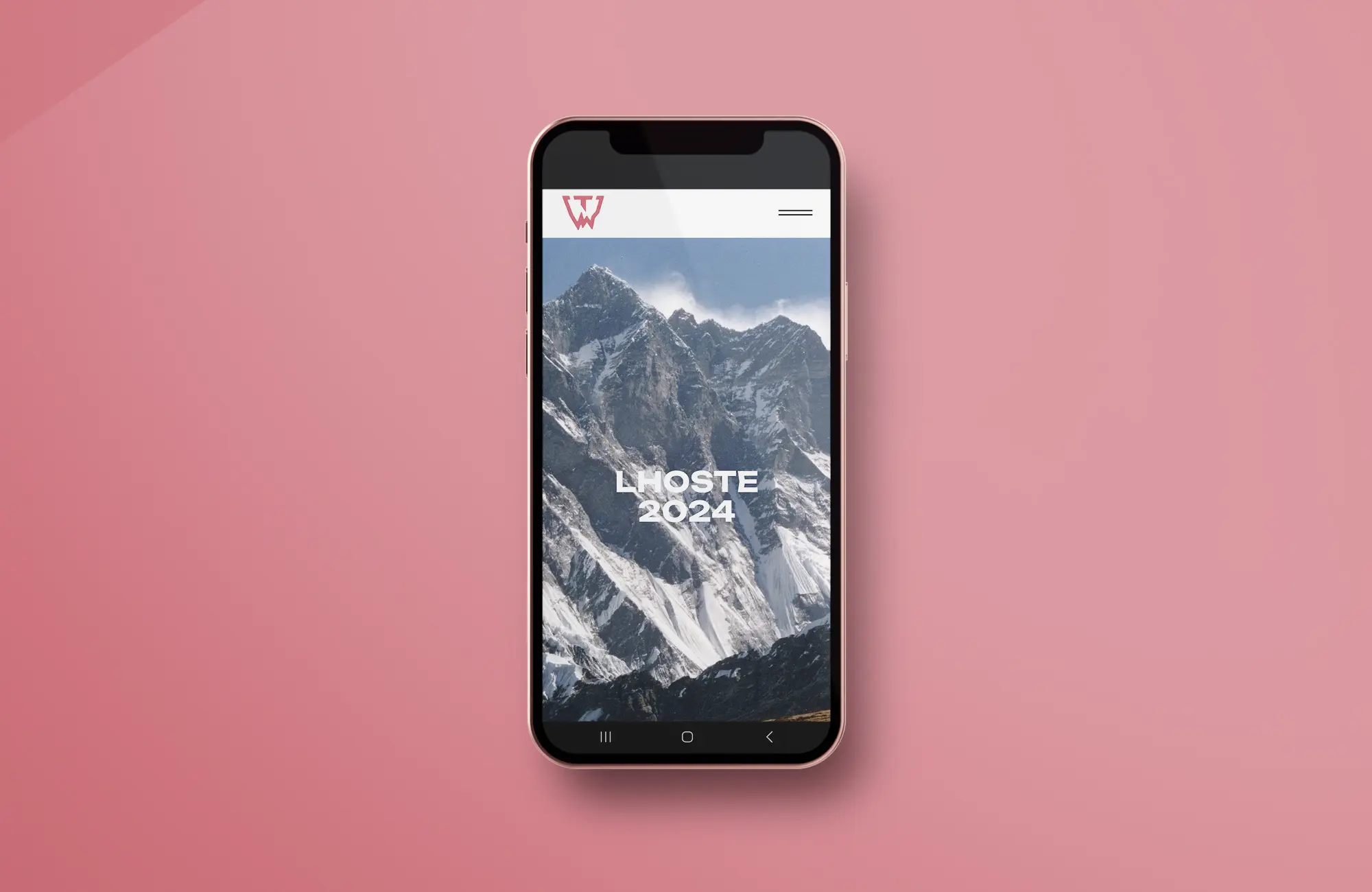 site internet vitrine • grossiste