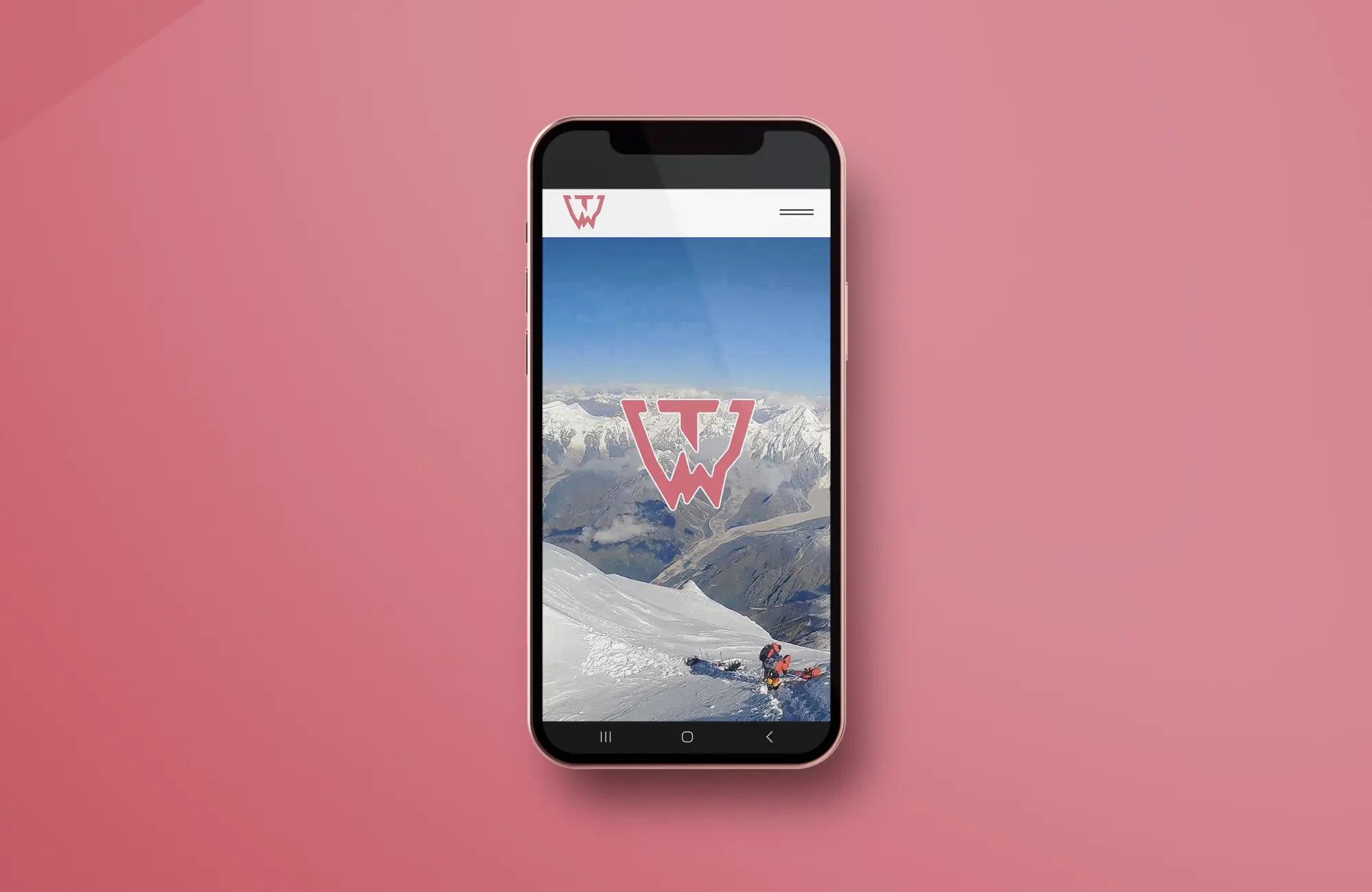 site internet vitrine • grossiste
